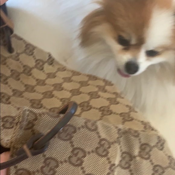 Gucci bag - Picture 6 of 7